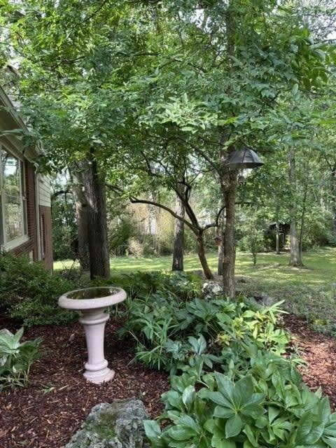 Nashville Elegance Enjoy Southern Comfort In Style Exterior photo